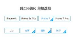 纯css3单选框复选框美化样式代码