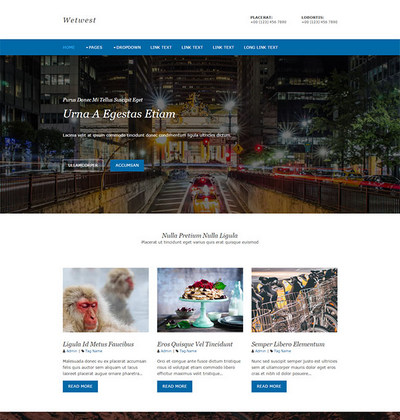 旅行社旅游公司企业静态网页模板